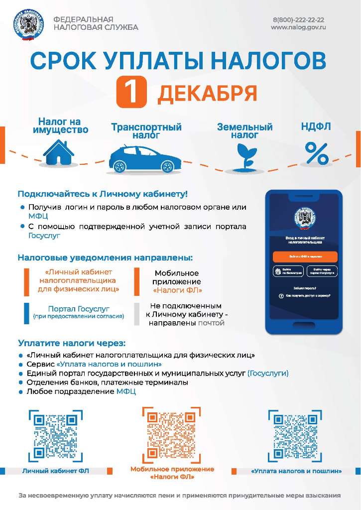 СРОК УПЛАТЫ НАЛОГОВ 1 ДЕКАБРЯ